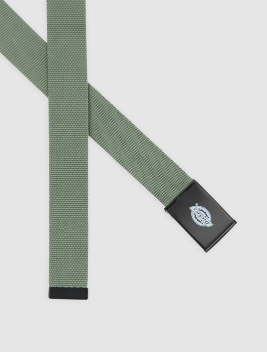 Dickies Unisex Orcutt Belt Olive Green DK0AX7EL19