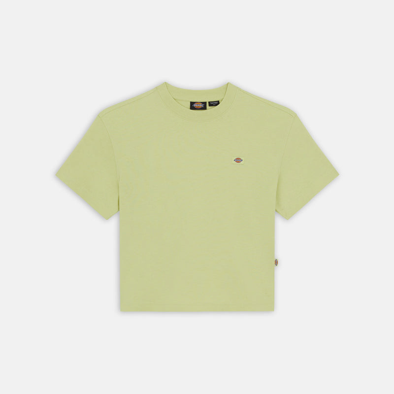 Load image into Gallery viewer, Dickies Women&#39;s Oakport Relaxed Fit T-Shirt Pale Green DK0A4Y8LH141
