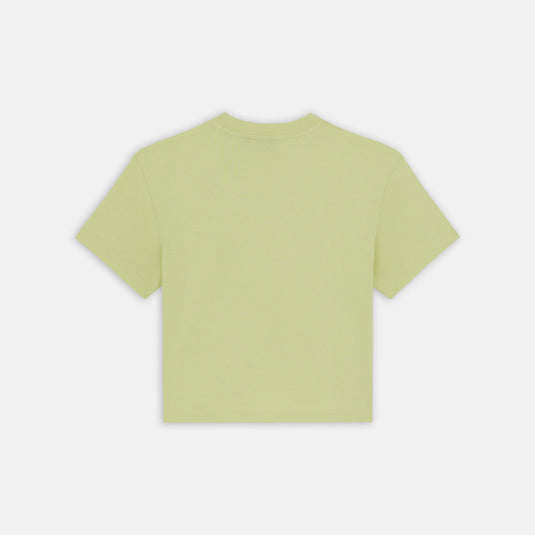 Dickies Women's Oakport Relaxed Fit T-Shirt Pale Green DK0A4Y8LH141