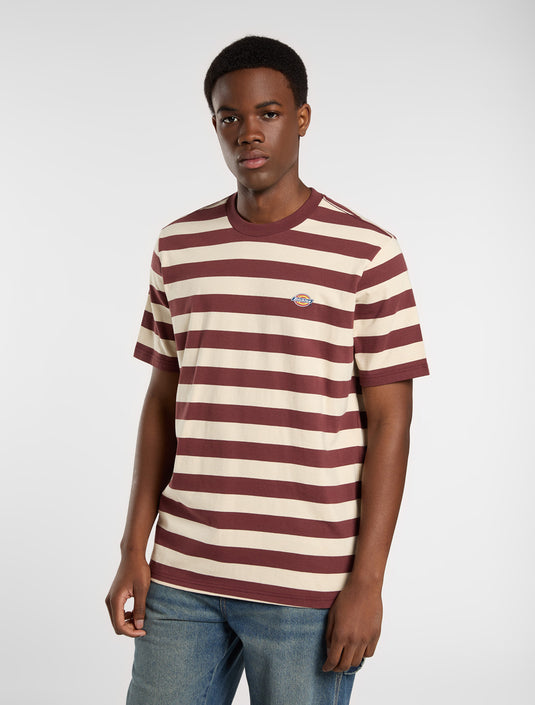 Dickies Men's Rivergrove Light Weight T-shirt Burgundy DK0A4Y8YL161