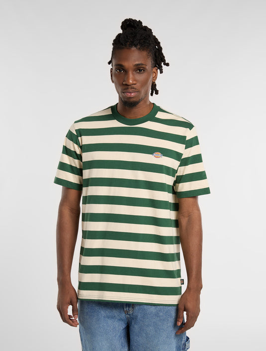 Dickies Men's Rivergrove Light Weight T-shirt Pine DK0A4Y8YPIN