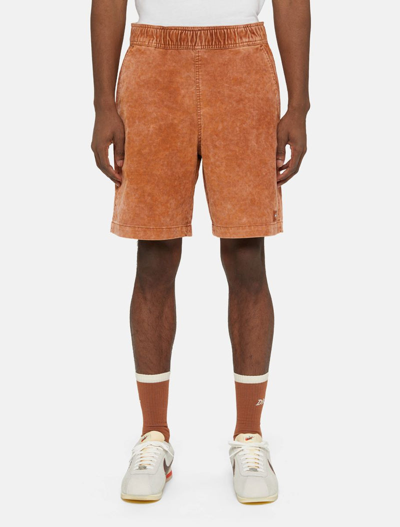 Load image into Gallery viewer, Dickies Men&#39;s Chase City Shorts Light Brown DK0A4YSZH161
