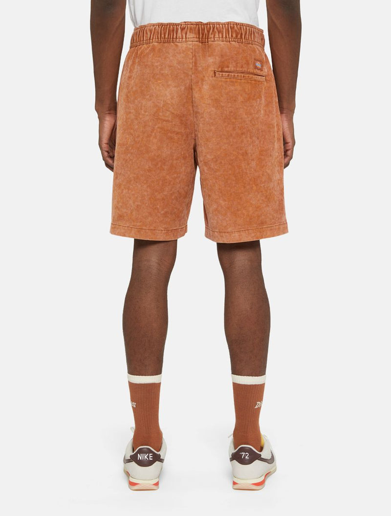 Load image into Gallery viewer, Dickies Men&#39;s Chase City Shorts Light Brown DK0A4YSZH161
