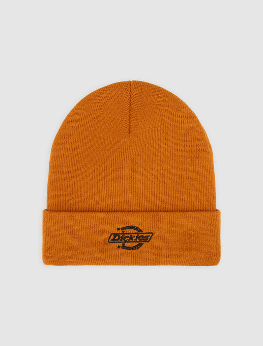 Dickies Unisex Summerdale Beanie Pumpkin Spice DK0A87NGK64