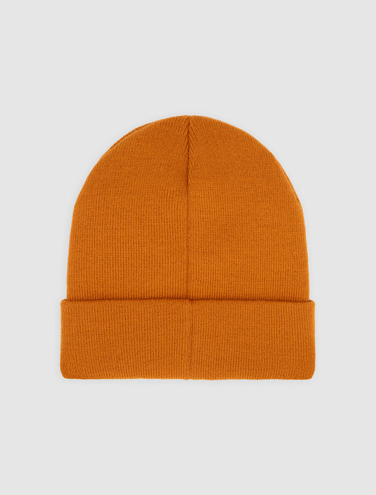 Dickies Unisex Summerdale Beanie Pumpkin Spice DK0A87NGK64