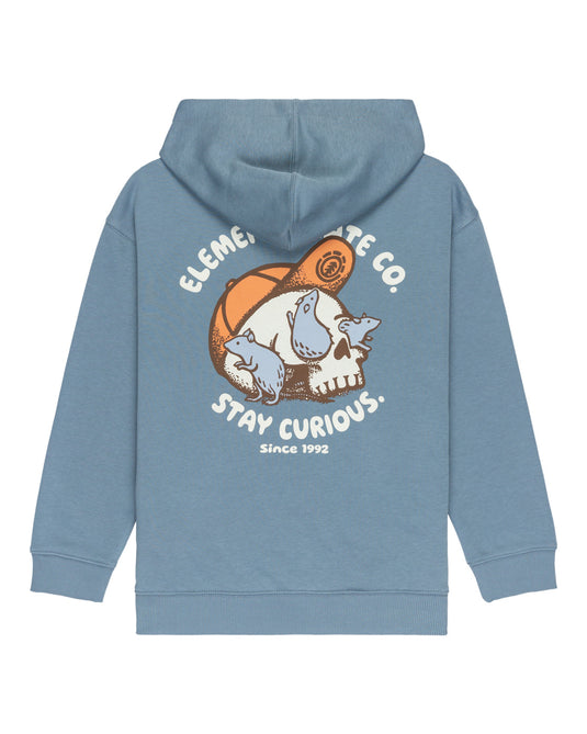 Element Kid's Curious Po Y Hoodie (8-16) Blue Mirage ELBSF00201_BMK0