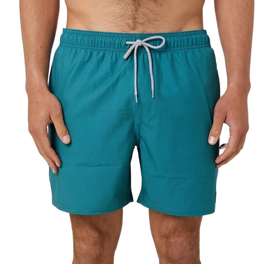 Rip Curl Men's Daily Volley Swimshorts Washed Forecast 04FMBO-8153