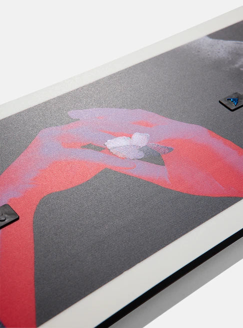 Burton Women's Talent Scout Camber 146 Snowboard 13218010000