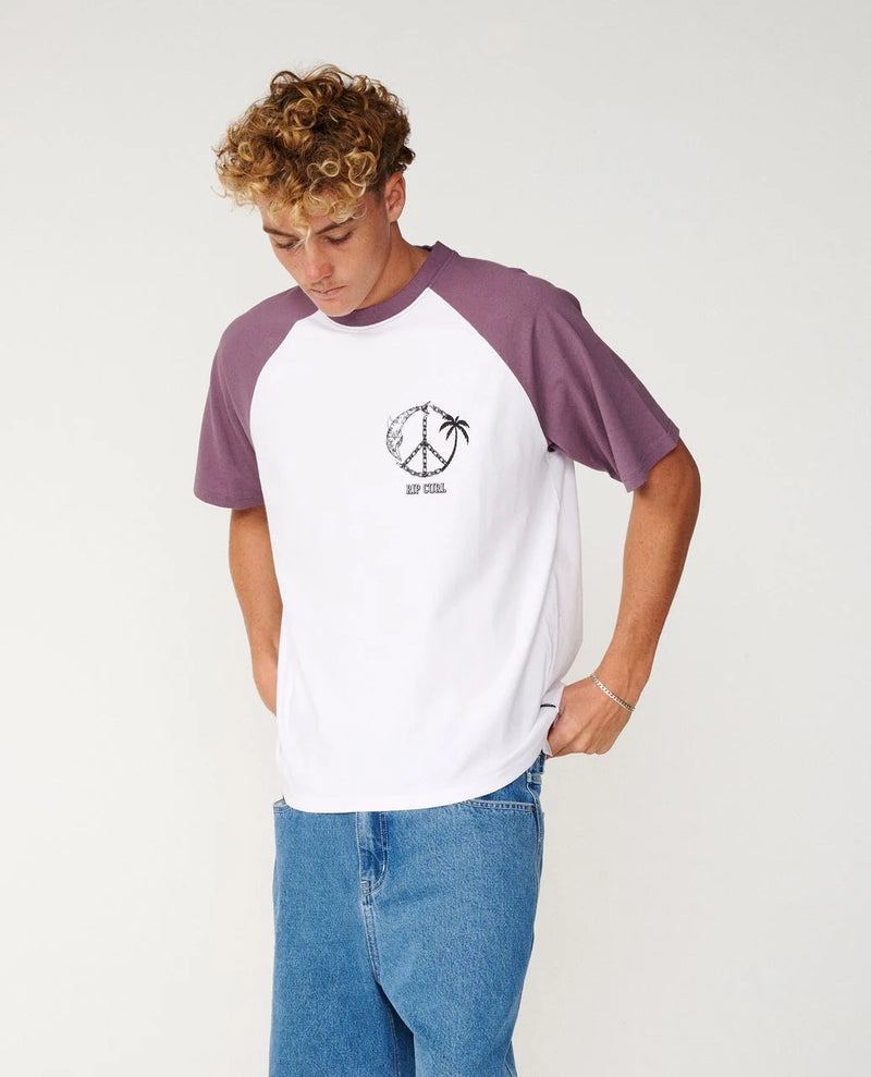 Load image into Gallery viewer, Rip Curl Men's Disorder Dolphin T-Shirt Vintage White 14ZMTE-8861
