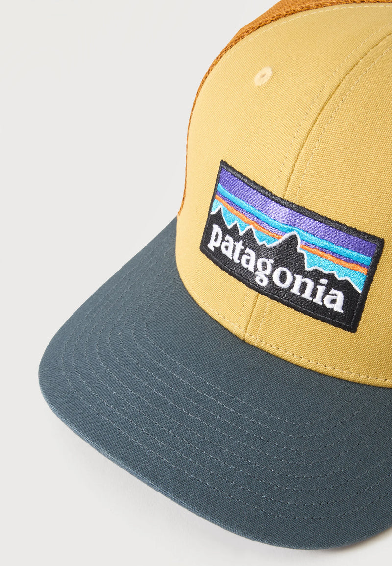 Load image into Gallery viewer, Patagonia Unisex P6 Logo Trucker Hat Lynx Tan 38289-LYTN
