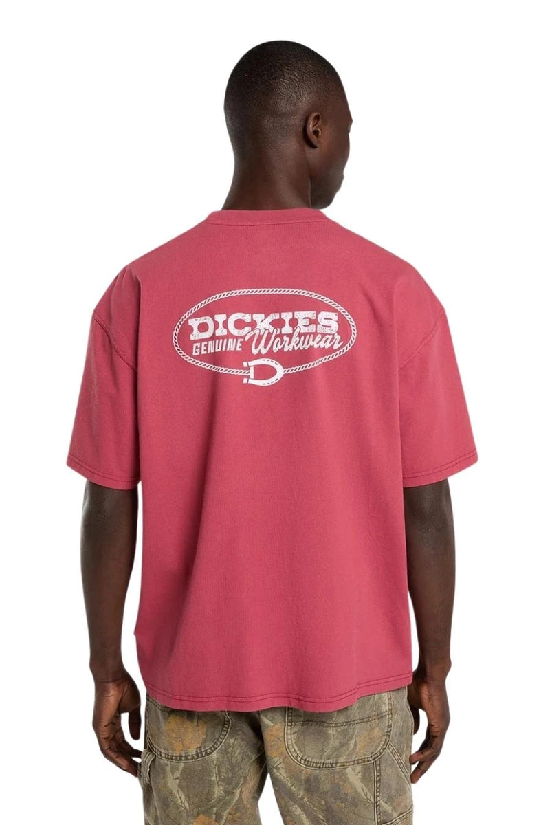 Load image into Gallery viewer, Dickies Men's Avondale T-shirt Red DK0A8CD4L81
