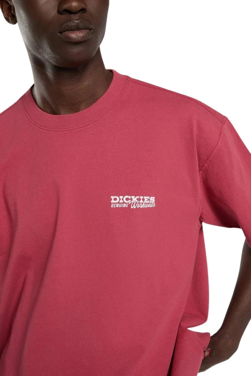 Load image into Gallery viewer, Dickies Men's Avondale T-shirt Red DK0A8CD4L81
