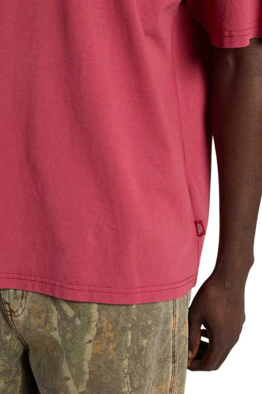Dickies Men's Avondale T-shirt Red DK0A8CD4L81