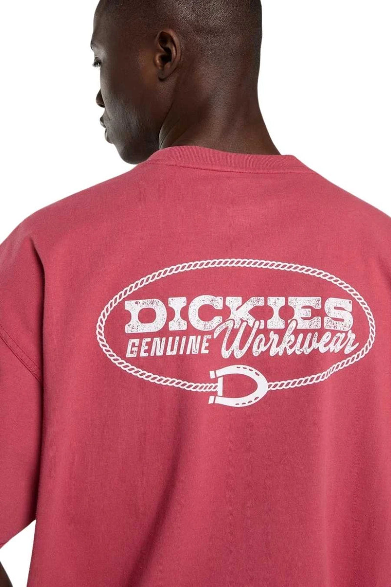 Load image into Gallery viewer, Dickies Men's Avondale T-shirt Red DK0A8CD4L81
