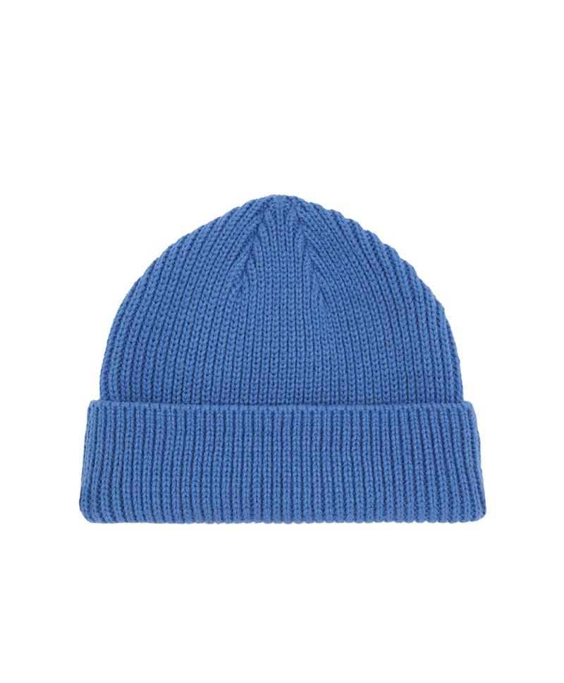 Load image into Gallery viewer, Dickies Unisex Woodworth Beanie Blue DK0A4X7YL851
