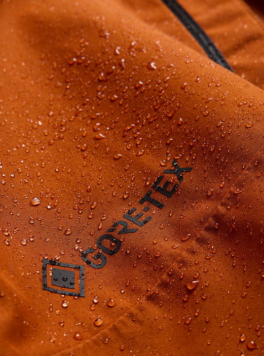 Burton Men's Reserve GORE-TEX 2L Snow Jacket Spiced Chai 3024110E9W