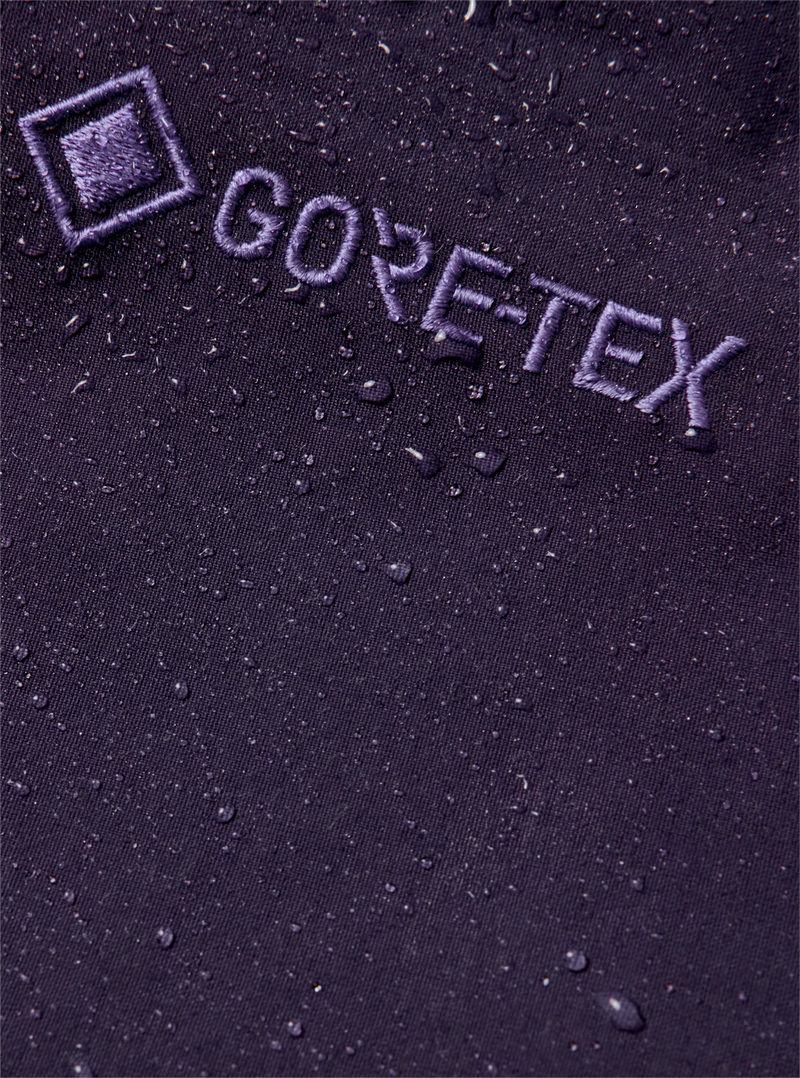 Load image into Gallery viewer, Burton Men's [ak] Cyclic GORE-TEX 2L Bib Snow Pants Nightshade Purple 3076510E7ZRG0
