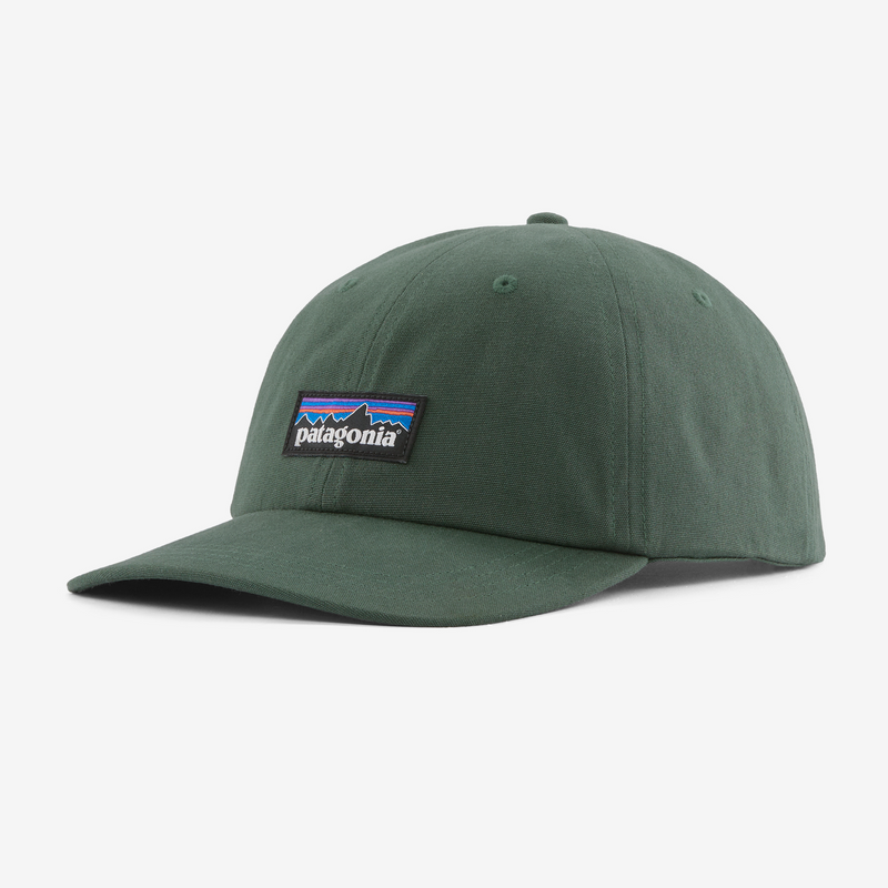 Load image into Gallery viewer, Patagonia Unisex P6 Label Trad Cap Canopy Green 38296-CNGR

