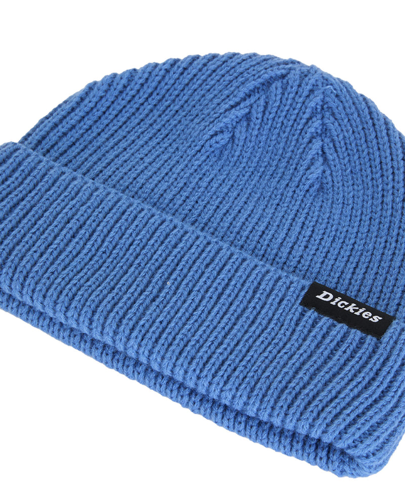Load image into Gallery viewer, Dickies Unisex Woodworth Beanie Blue DK0A4X7YL851

