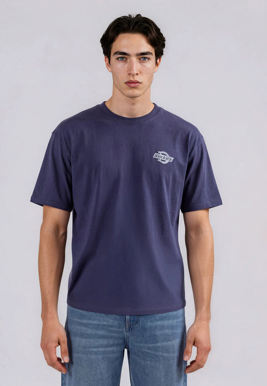 Dickies Men's Chinle T-Shirt Navy Blue DK0A8DTFNV0
