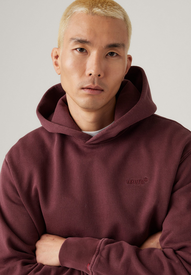 Load image into Gallery viewer, Levi&#39;s Men&#39;s Authentic Hoodie Red A84350032
