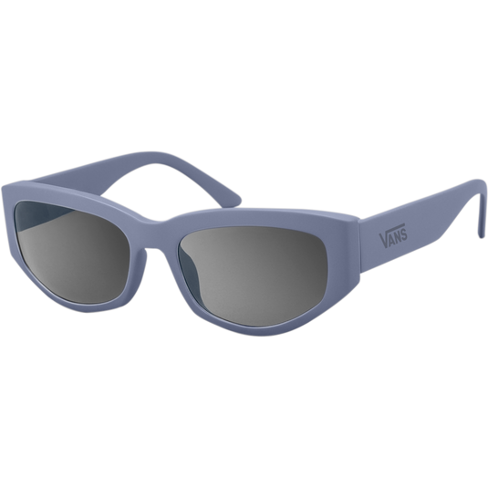 Vans Unisex Leyden Sunglasses Glacial Slate VN000T0CFOI