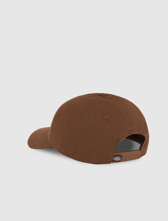 Dickies Unisex Hardwick Baseball Cap Timber Brown DK0A4TKV0TB