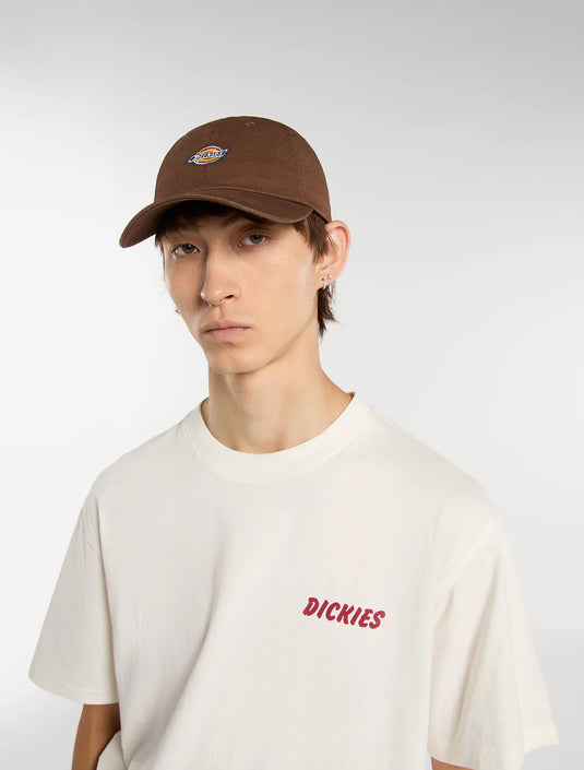 Dickies Unisex Hardwick Baseball Cap Timber Brown DK0A4TKV0TB