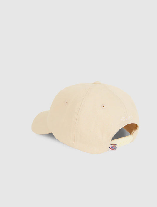Dickies Unisex Hardwick Baseball Cap Whitecap Grey DK0A4TKVF901