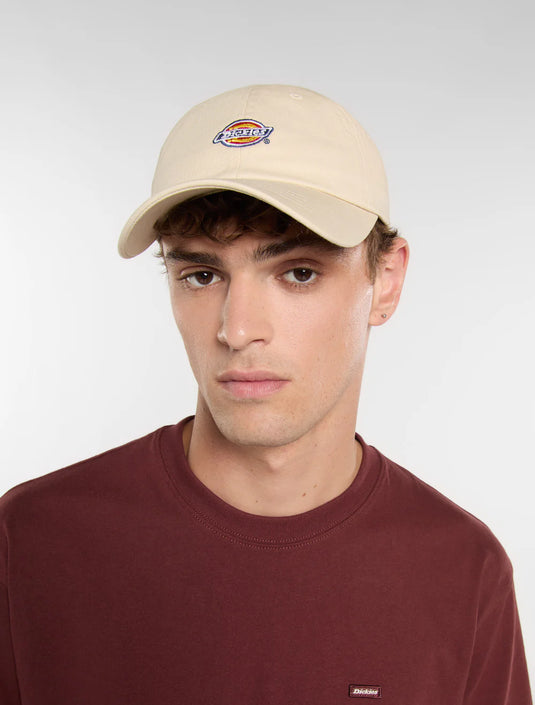 Dickies Unisex Hardwick Baseball Cap Whitecap Grey DK0A4TKVF90