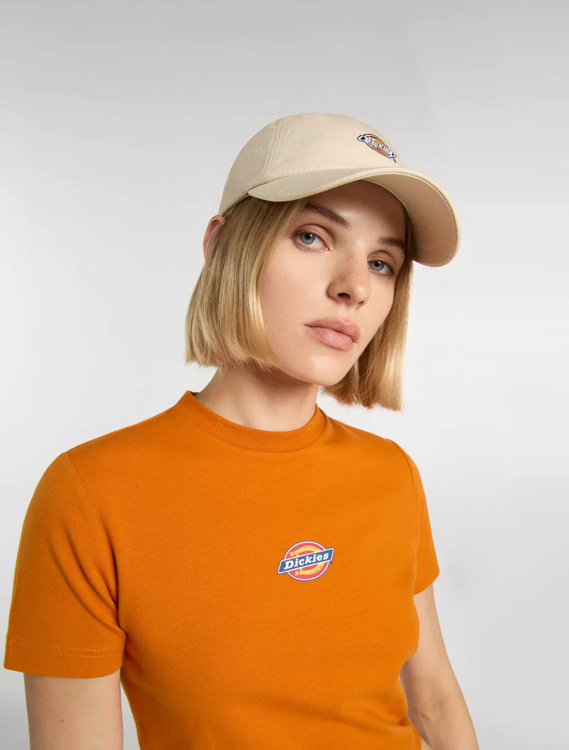 Load image into Gallery viewer, Dickies Unisex Hardwick Baseball Cap Whitecap Grey DK0A4TKVF90
