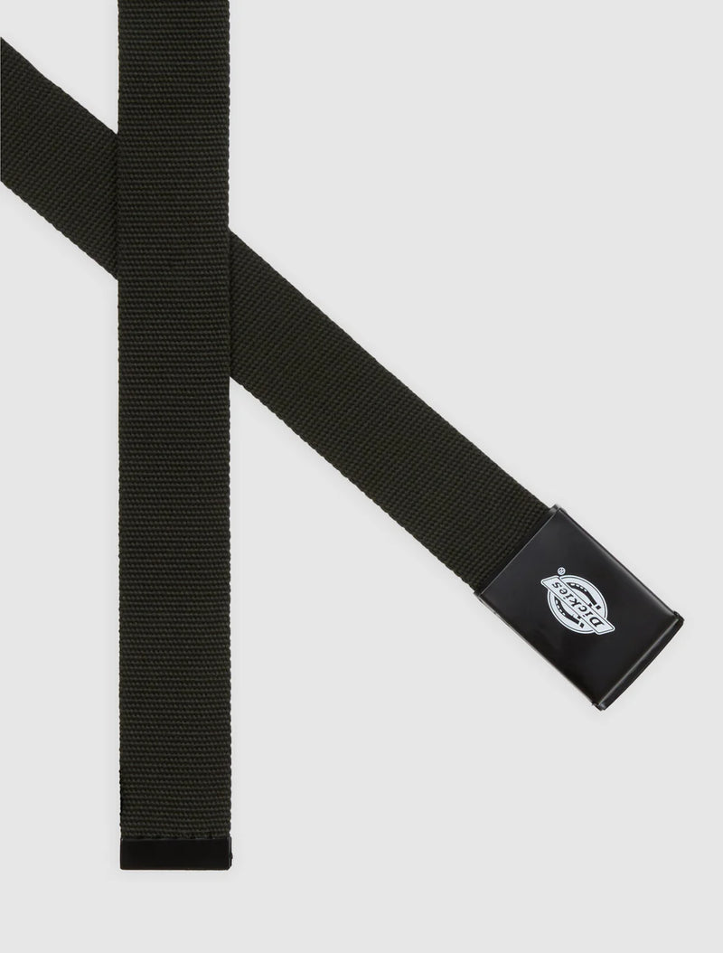 Load image into Gallery viewer, Dickies Unisex Orcutt Belt Olive Green DK0A4X7EOGX
