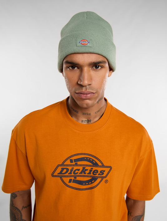 Dickies Unisex Gibsland Beanie Sea Spray DK0A4X7KL191