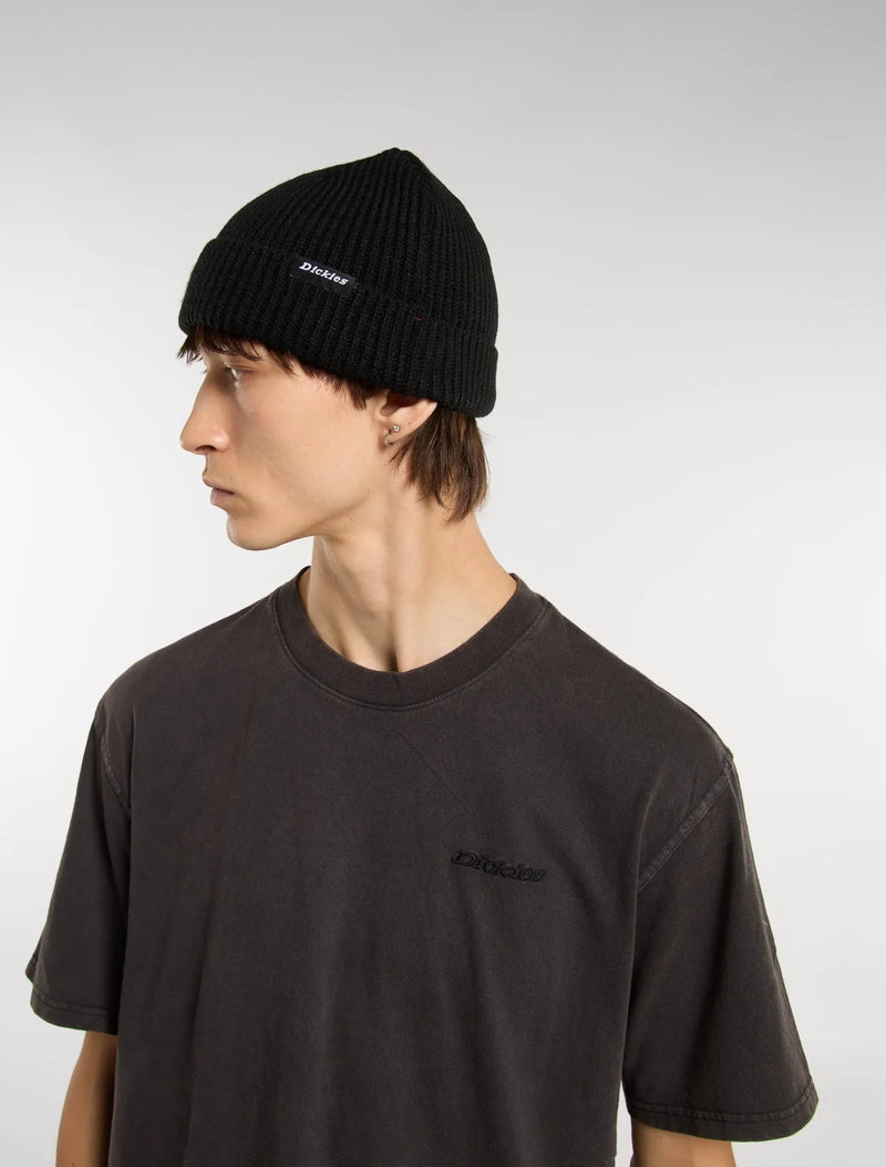 Load image into Gallery viewer, Dickies Unisex Woodworth Beanie Black DK0A4X7YBLK

