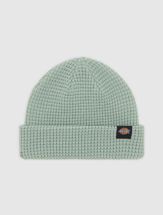 Dickies Unisex Woodworth Beanie Jadeite DK0A4XFDB871
