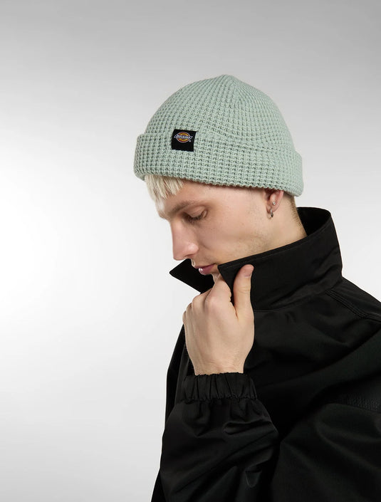 Dickies Unisex Woodworth Beanie Jadeite DK0A4XFDB871