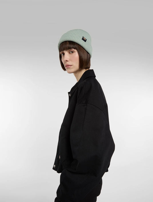 Dickies Unisex Woodworth Beanie Jadeite DK0A4XFDB871