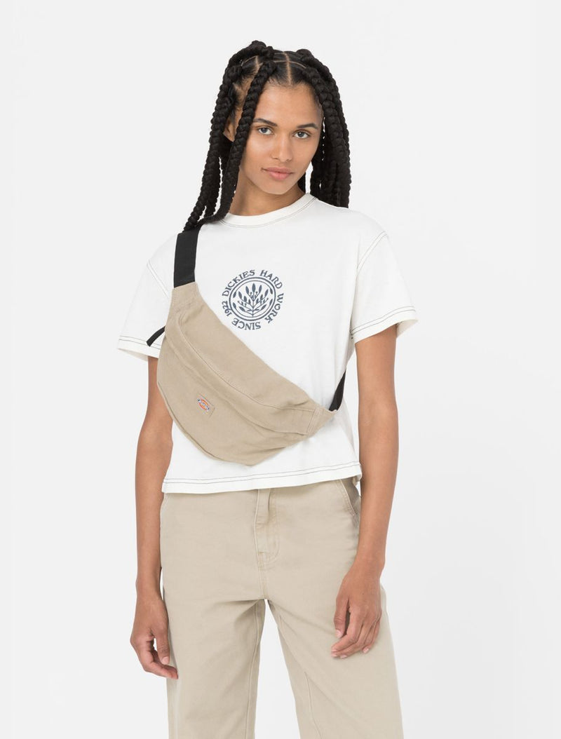 Load image into Gallery viewer, Dickies Unisex Duck Canvas Cross Body Bum Bag Desert Sand DK0A4XOYDS01
