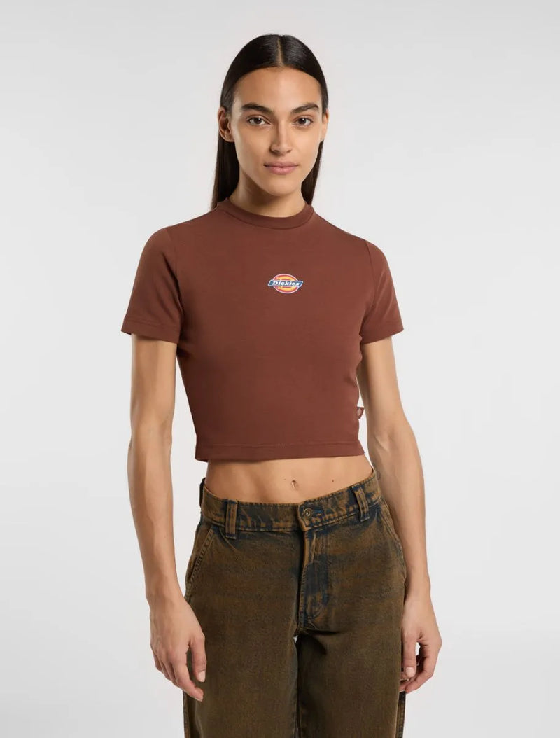 Load image into Gallery viewer, Dickies Women's Maple Valley T-Shirt Brown DK0A4XPOK471
