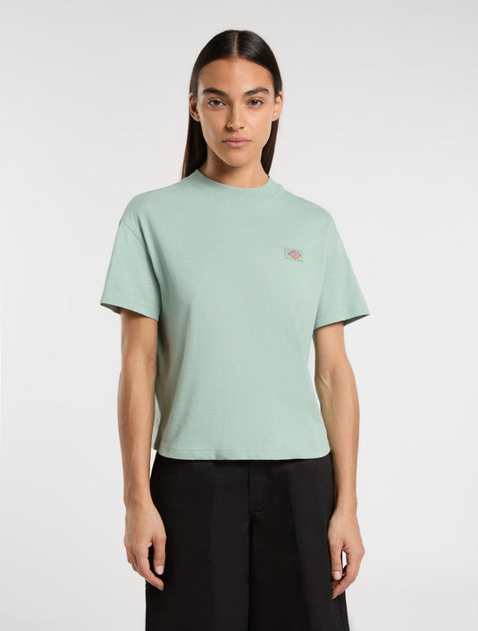 Dickies Women's Oakport Short Sleeve T-Shirt Light Blue DK0A4Y8LK361