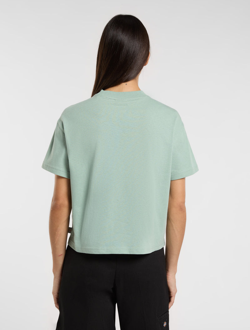 Load image into Gallery viewer, Dickies Women&#39;s Oakport Short Sleeve T-Shirt Light Blue DK0A4Y8LK361
