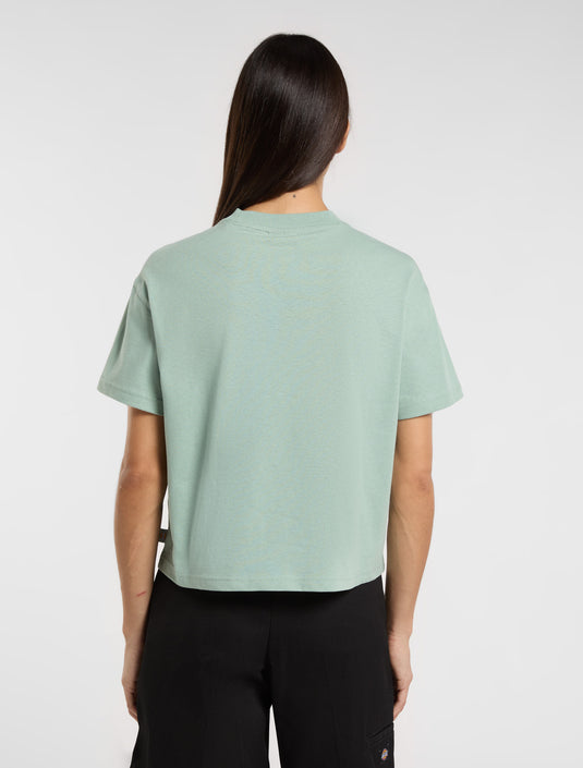 Dickies Women's Oakport Short Sleeve T-Shirt Light Blue DK0A4Y8LK361