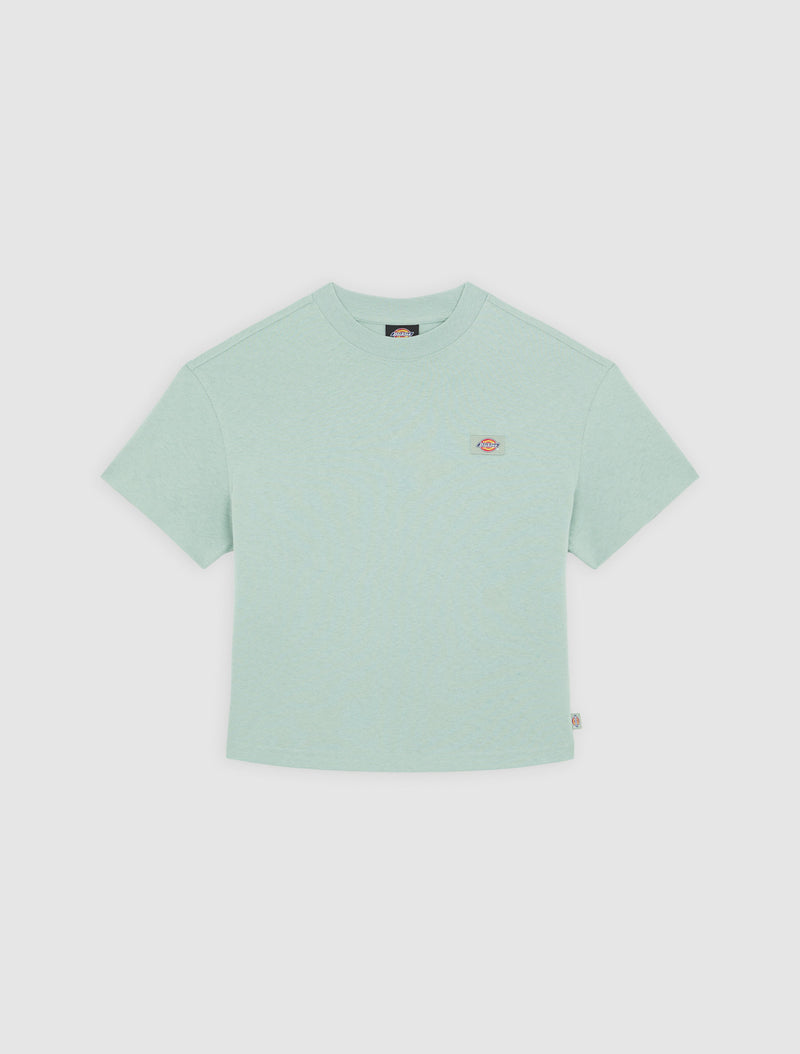 Load image into Gallery viewer, Dickies Women&#39;s Oakport Short Sleeve T-Shirt Light Blue DK0A4Y8LK361
