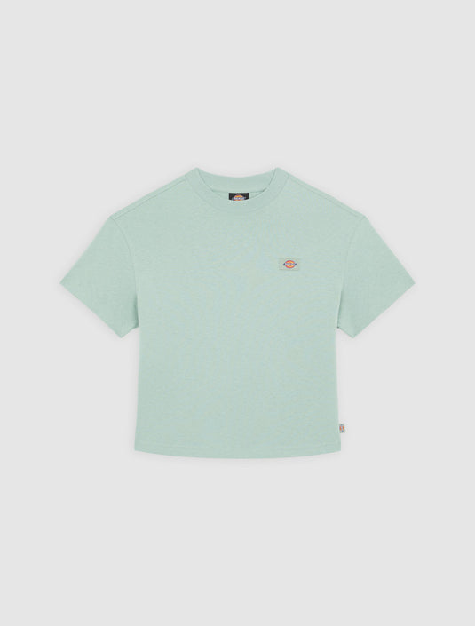 Dickies Women's Oakport Short Sleeve T-Shirt Light Blue DK0A4Y8LK361
