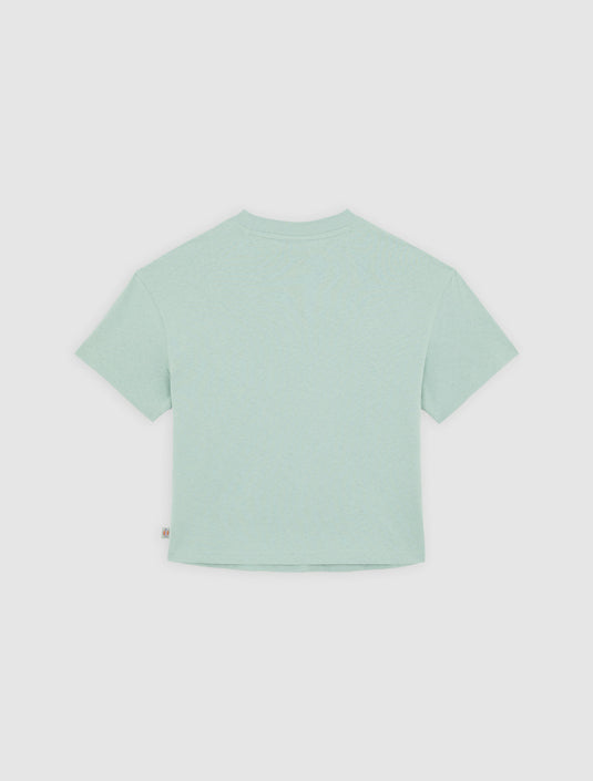 Dickies Women's Oakport Short Sleeve T-Shirt Light Blue DK0A4Y8LK361