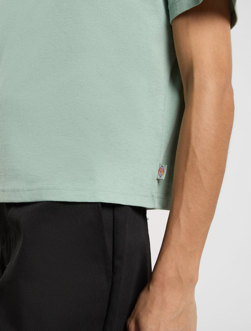 Load image into Gallery viewer, Dickies Women&#39;s Oakport Short Sleeve T-Shirt Light Blue DK0A4Y8LK361
