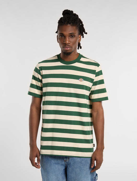 Dickies Men's Rivergrove Light Weight T-shirt Pine DK0A4Y8YPIN