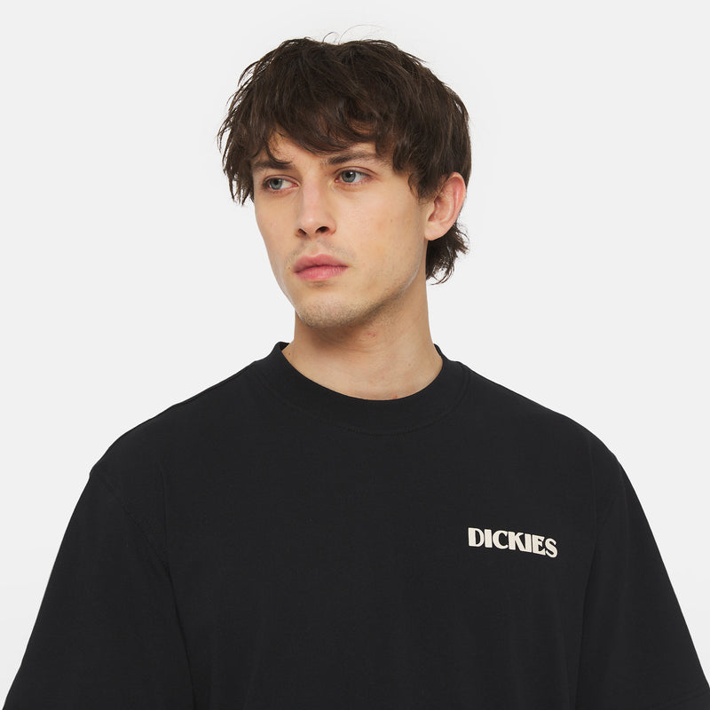 Load image into Gallery viewer, Dickies Men&#39;s Herndon Relaxed Fit T-Shirt Black DK0A4YR5BLK1
