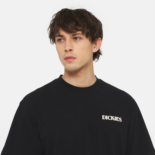 Dickies Men's Herndon Relaxed Fit T-Shirt Black DK0A4YR5BLK1