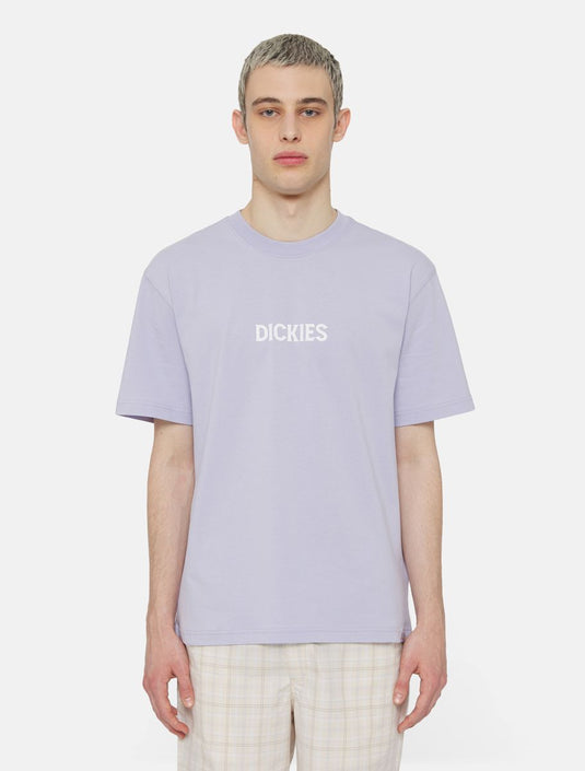Dickies Men's Patrick Springs Short Sleeve T-Shirt Cosmic Sky DK0A4YR7H181